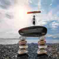 脚‍本​搜​索​引﻿擎​